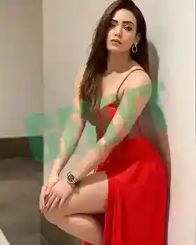 Dating Call Girl in Ajmer Road Starting at $2500 with with A/c Room